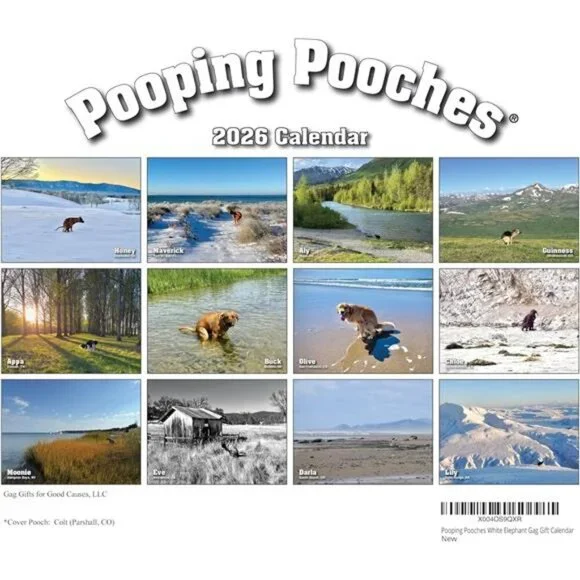 White Elephant Gag Gift Calendar - Picture 3 of 8